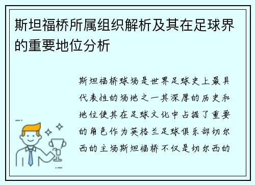 斯坦福桥所属组织解析及其在足球界的重要地位分析 斯坦福桥所属组织解析及其在足球界的重要地位分析